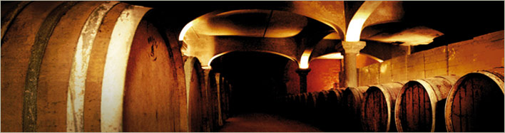 Cave du Domaine de Cantaussel Cave du Domaine de Cantaussel